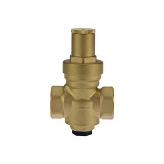 PRV06