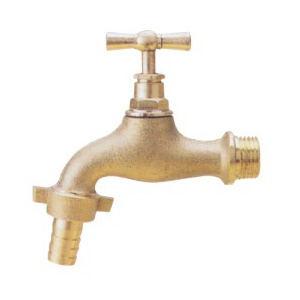 BC03