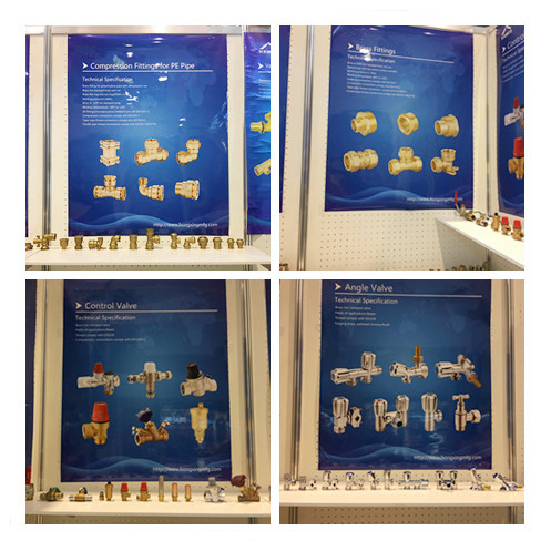 IMG_2915_fuben_fuben